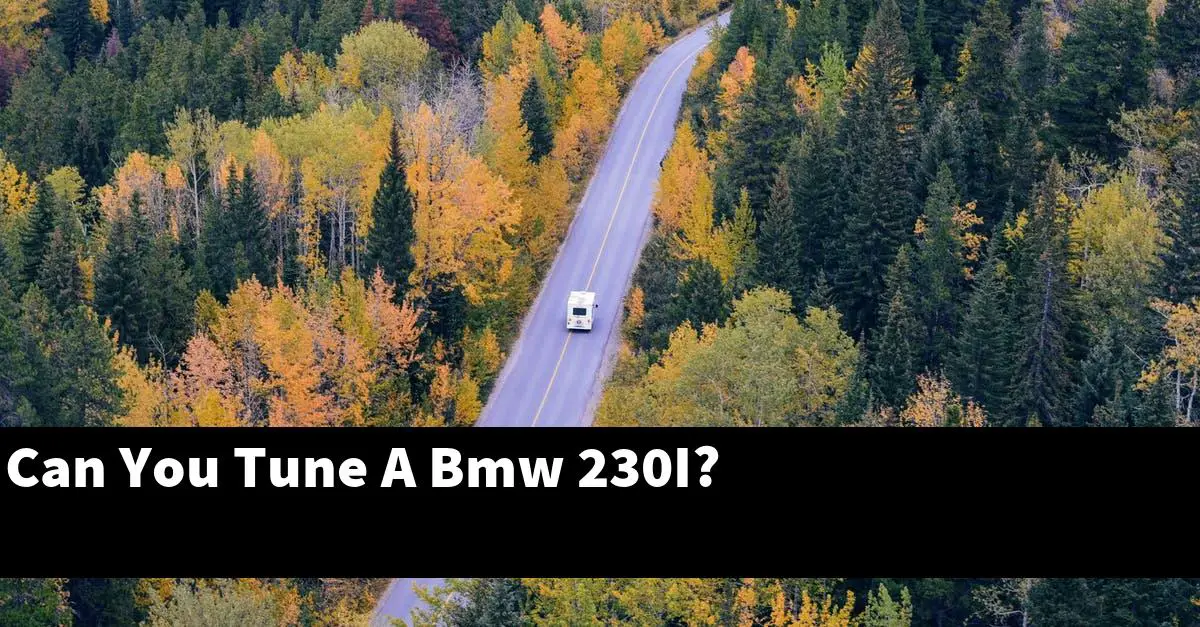 Can You Tune A Bmw 230I?