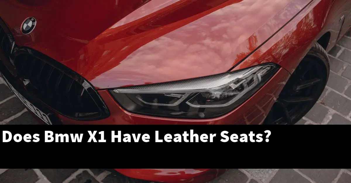 Does Bmw X1 Have Leather Seats?