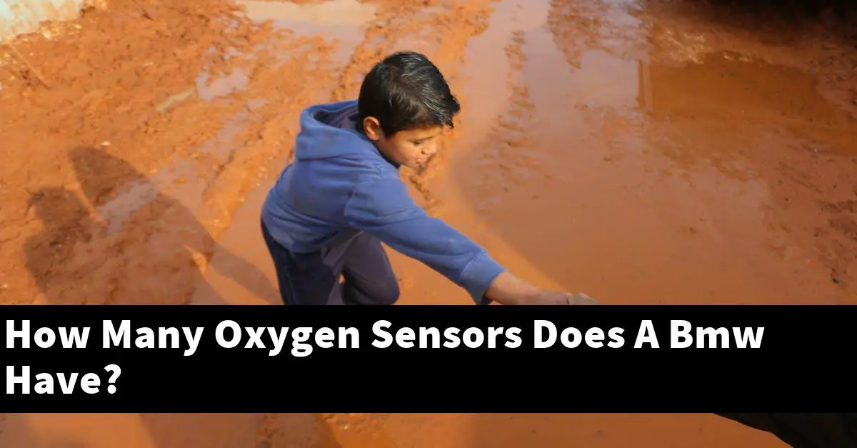 How Many Oxygen Sensors Does A Bmw Have?