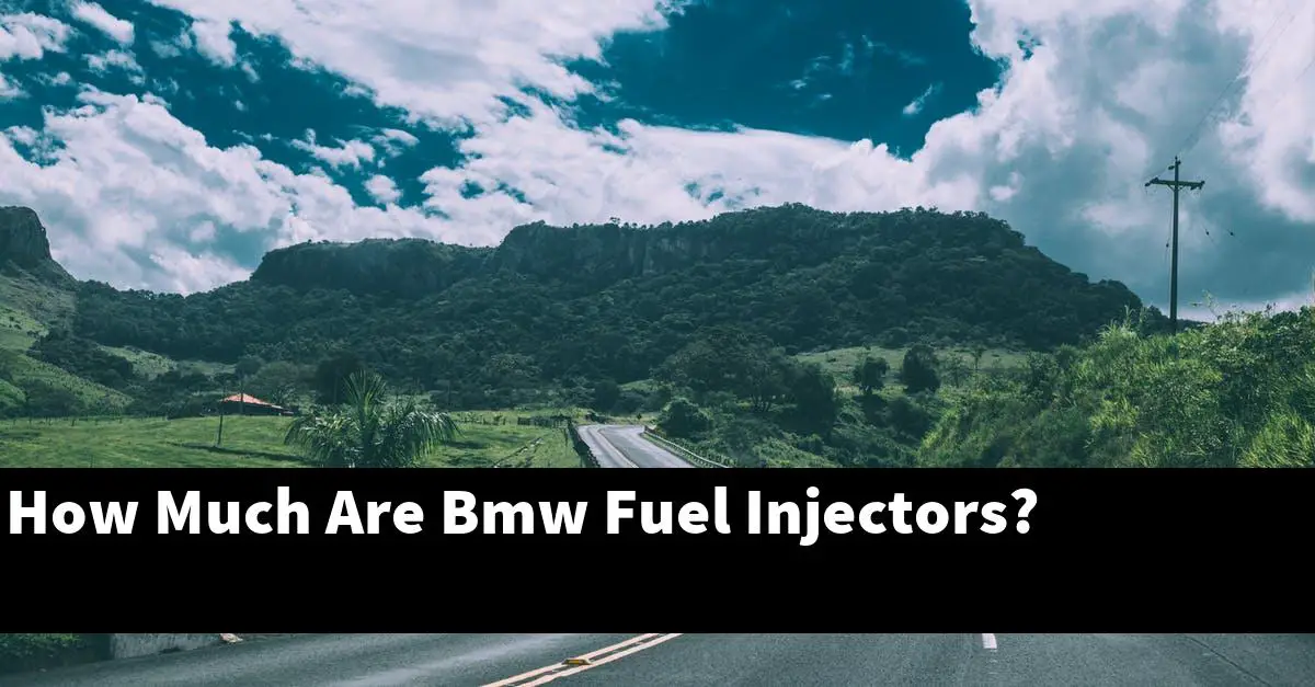 How Much Are Bmw Fuel Injectors?