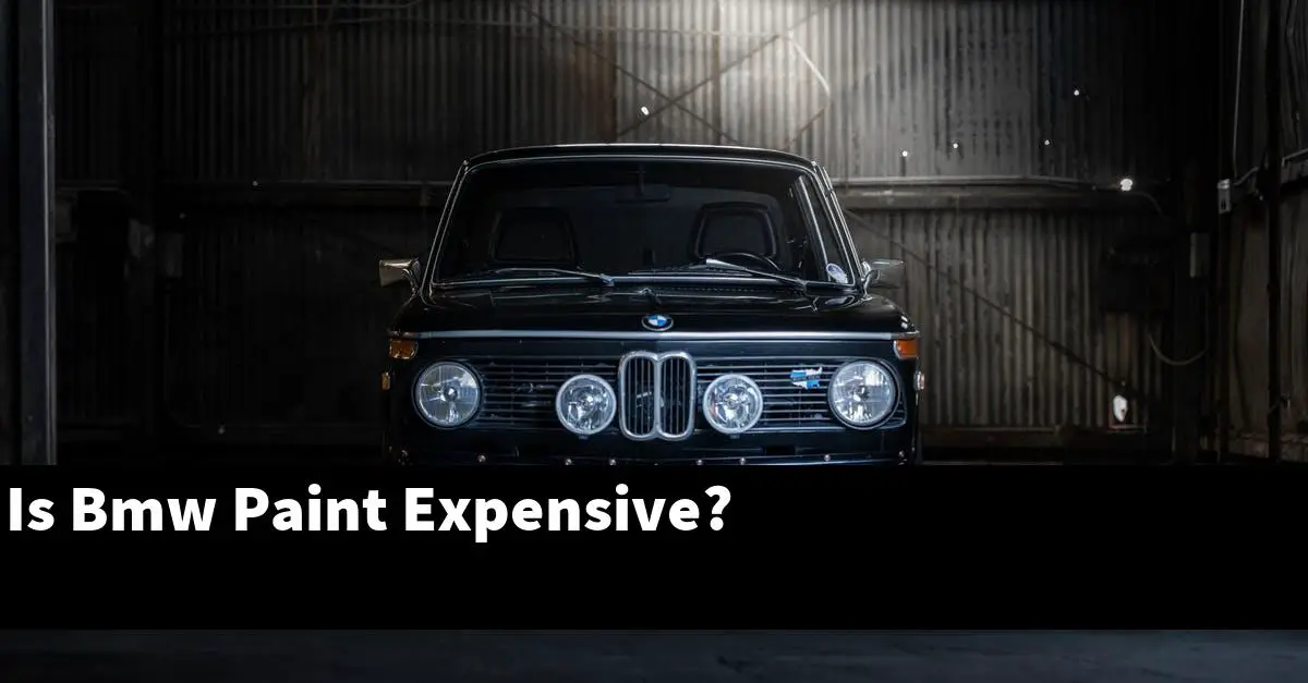 Is Bmw Paint Expensive?