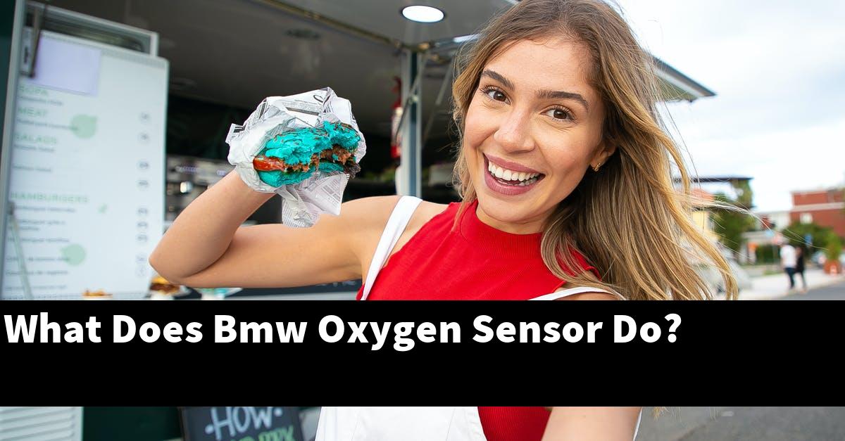 What Does Bmw Oxygen Sensor Do?