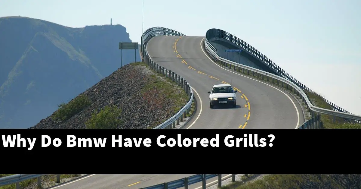 Why Do Bmw Have Colored Grills?